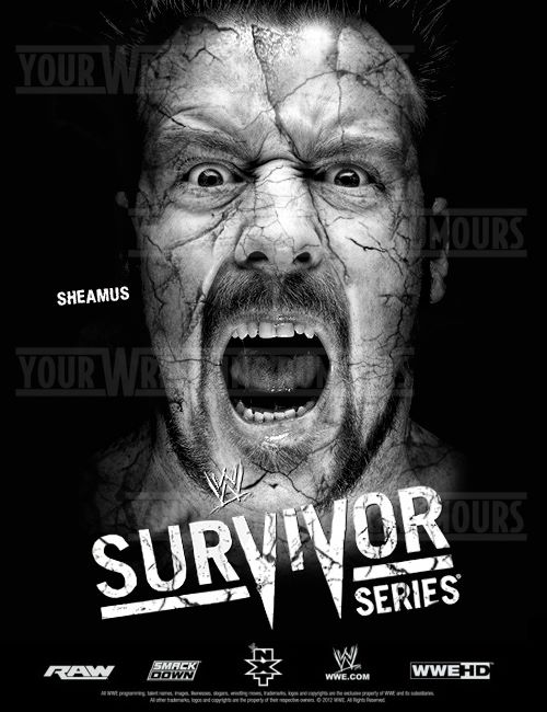 [Compétition] Premier poster des Survivor Series P%C3%94STER+SURVIVOR+SEIRES+2012