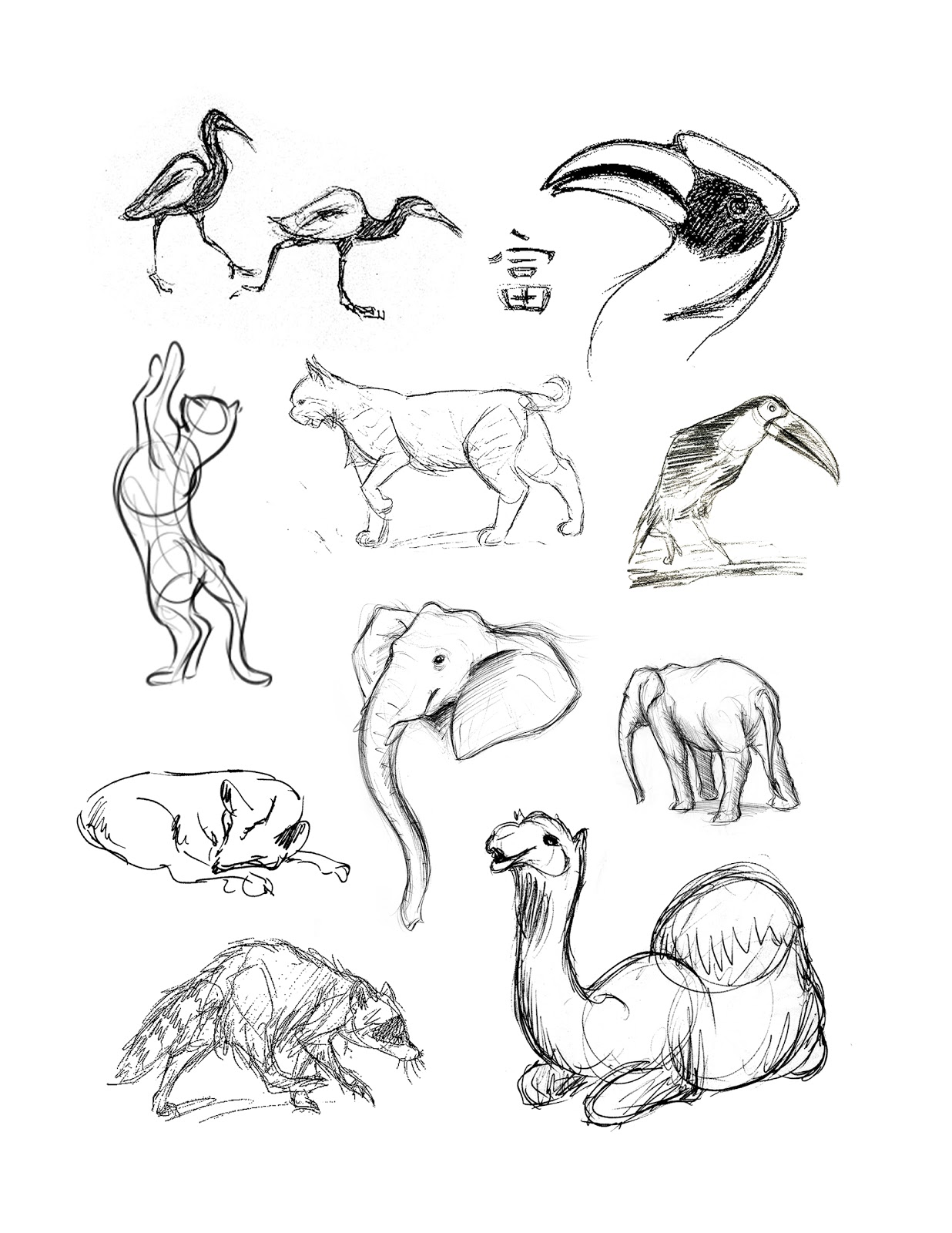 Louie s Place Animal Drawings