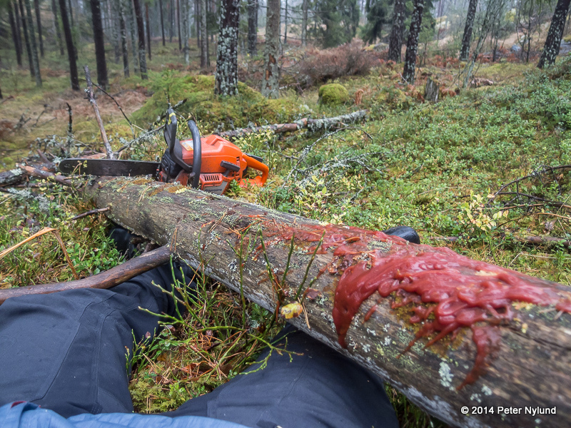 Yeti rides Vigu First Aid Course
