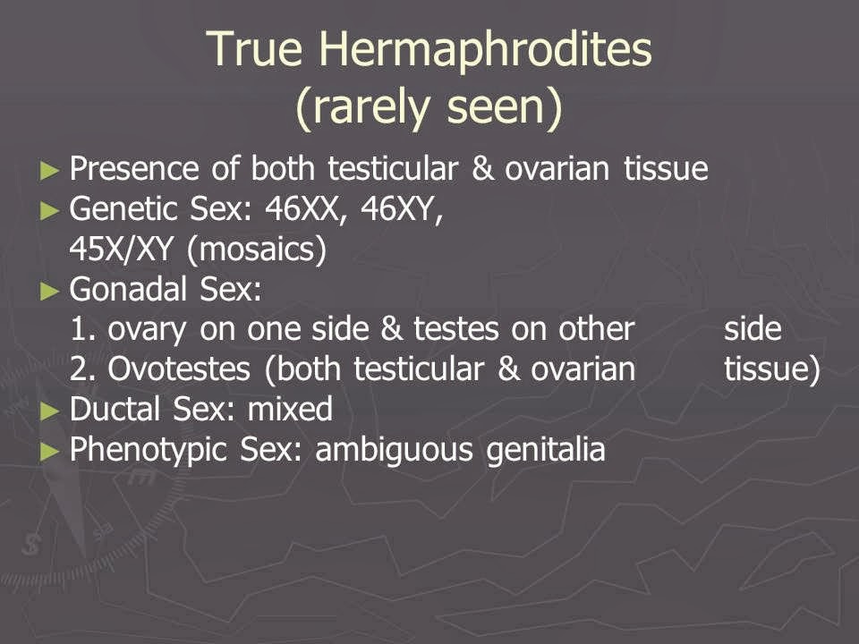 Slide 52