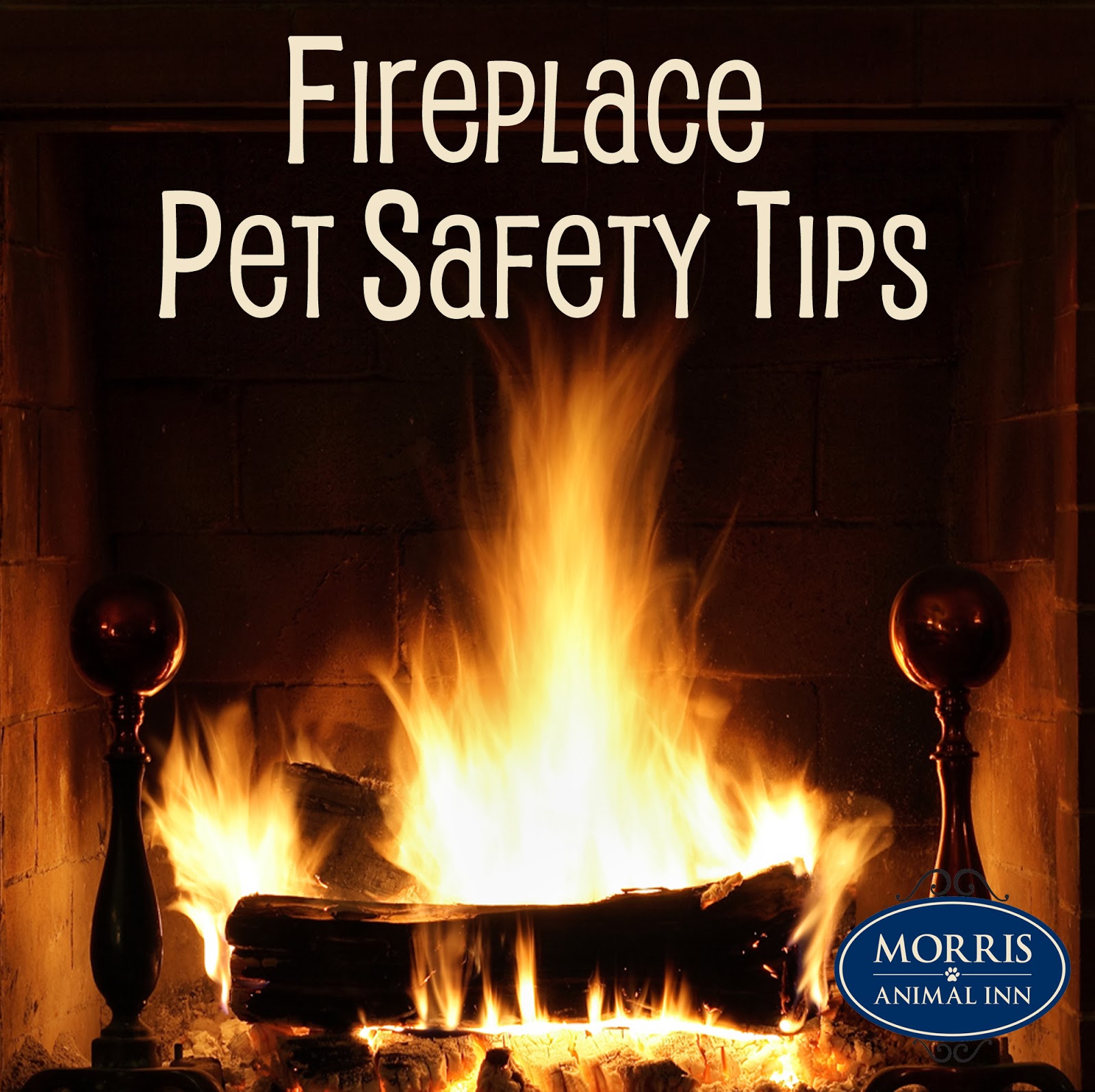 If They Could Talk Pet Safety Around the Fireplace