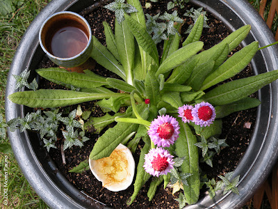 Offerings in the "garden." Summer Solstice, 2012.