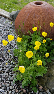 A little bit of everything: May 2011