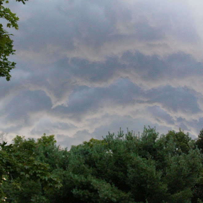 Thunderstorm In Maine - In Pictures