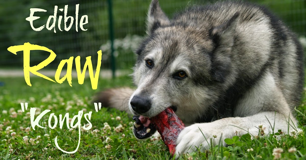 My Rotten Dogs Completely Edible Raw "Kongs"