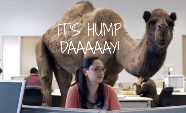 Geico-Hump-Day-Camel-Commercial-630x381.