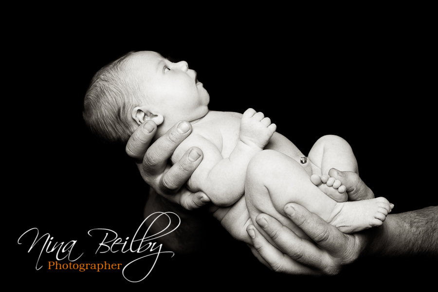 Babies GaloreNewborn Baby Portraits on Black Background