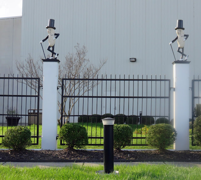 The Daily Rant When Working For Peanuts Pays Off