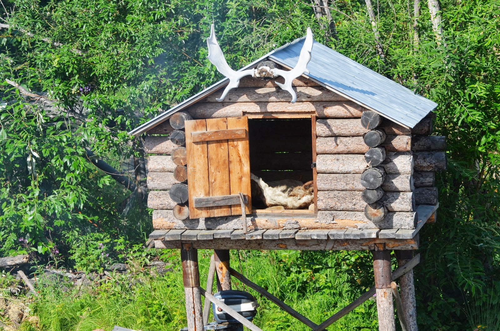 Life Blessings Chena Athabascan Indian Village