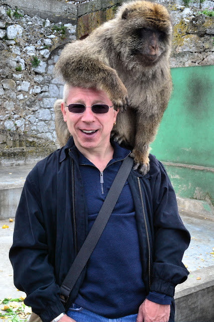 A new friend just after he finished eating his monkey biscuits!