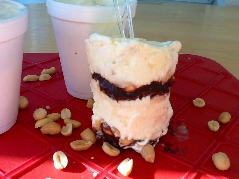 MorningNooNight Homemade Buster Bars