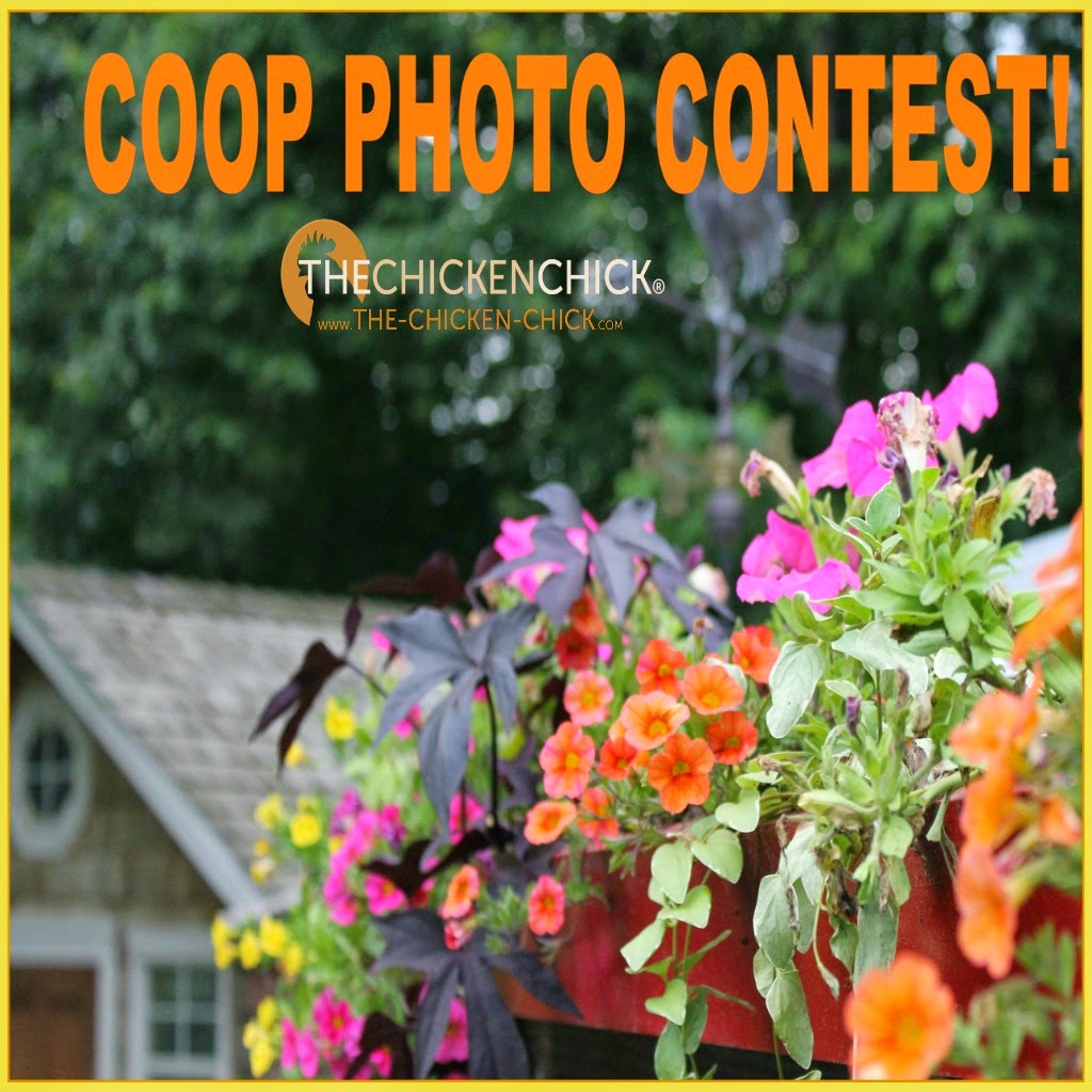 The Chicken Chick® Giveaway Winners