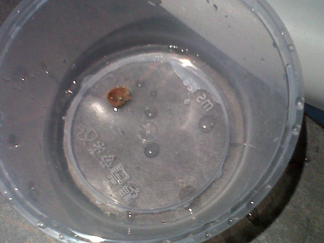 Little Miss Medic Syringing Ears