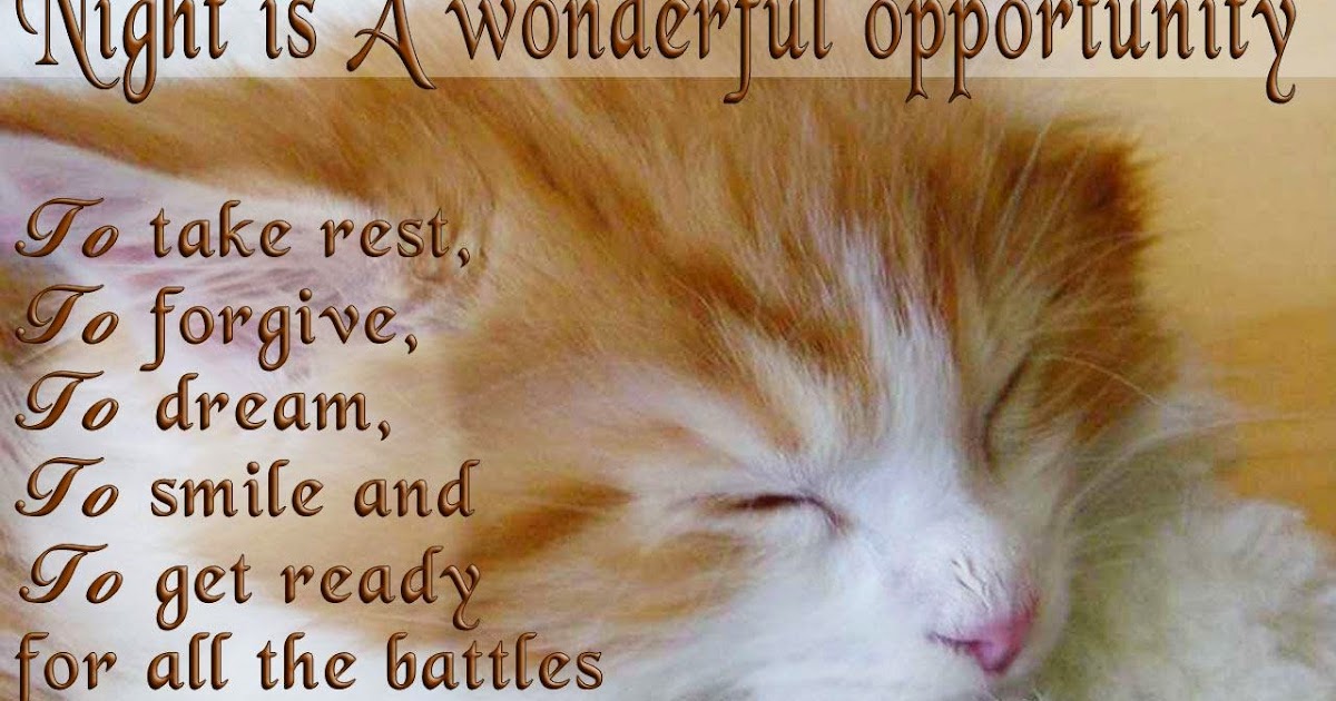 Sleeping Cute Cat Wishes Good Night Wallpaper With Quote