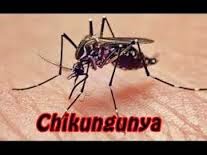Chikungunya-Virus-Medidas-Preventivas