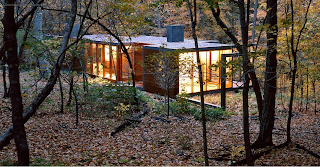 ARAÑAZOS EN EL CIELO: Una Casa en el Bosque
