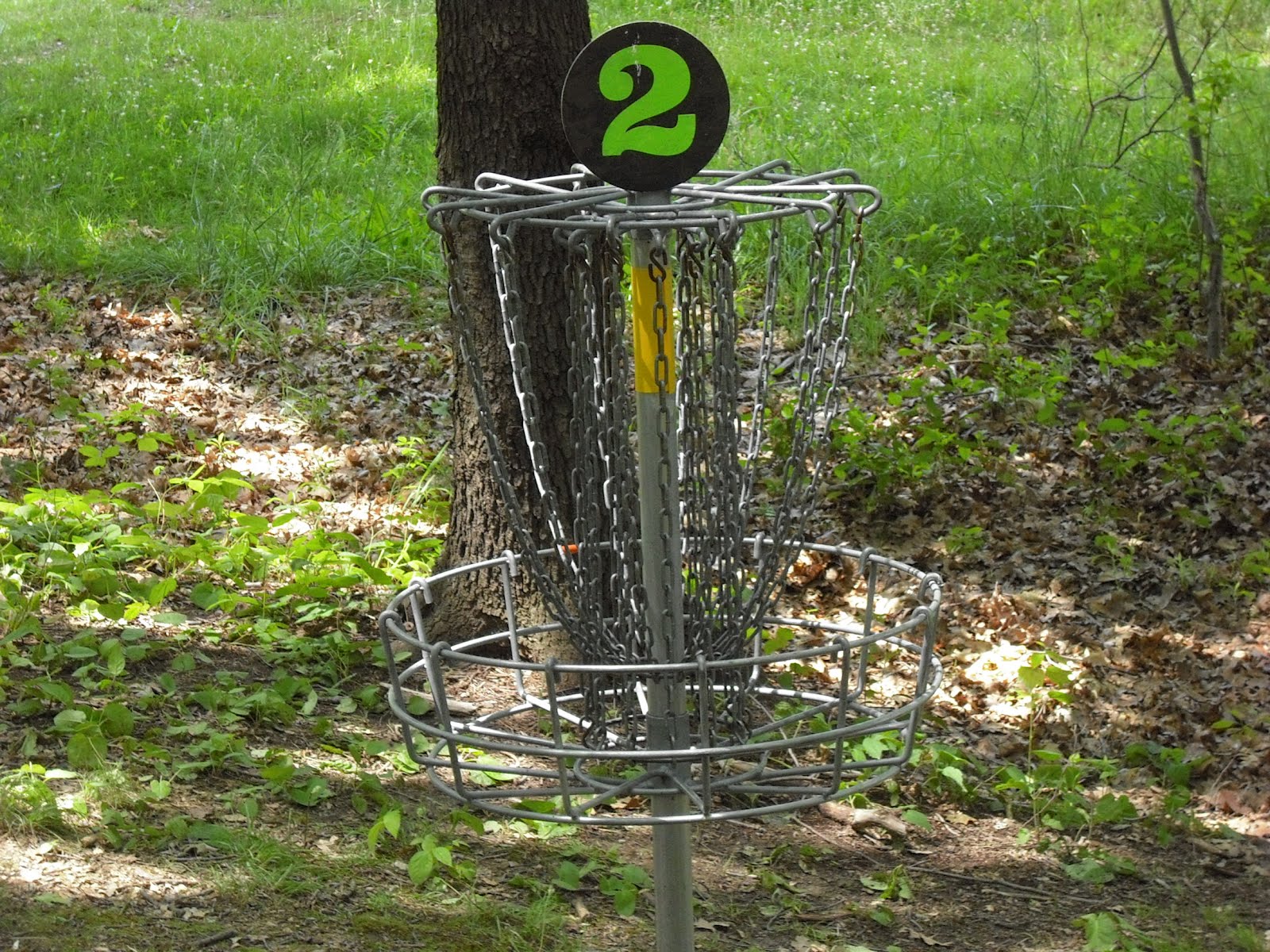RIGHT WHERE WE BELONG Disc Golf?