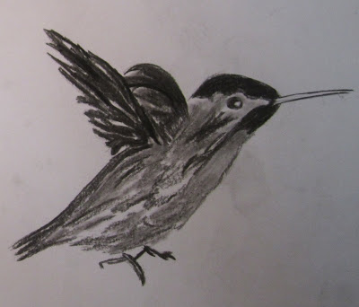 heart,mind and soul: drawings of birds