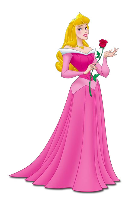 Disney Aurora Costume