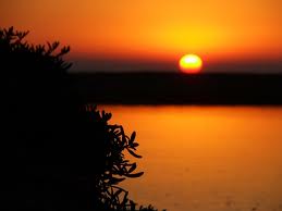 tono calido piel tono calido piel