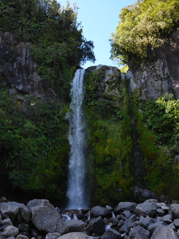 Mount Taranaki National Park