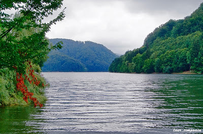 Lacul Firiza Lake Lago Maramures