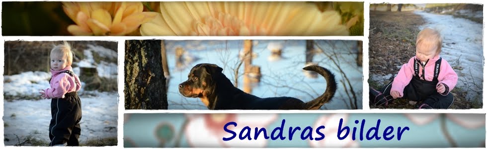 Sandras bilder