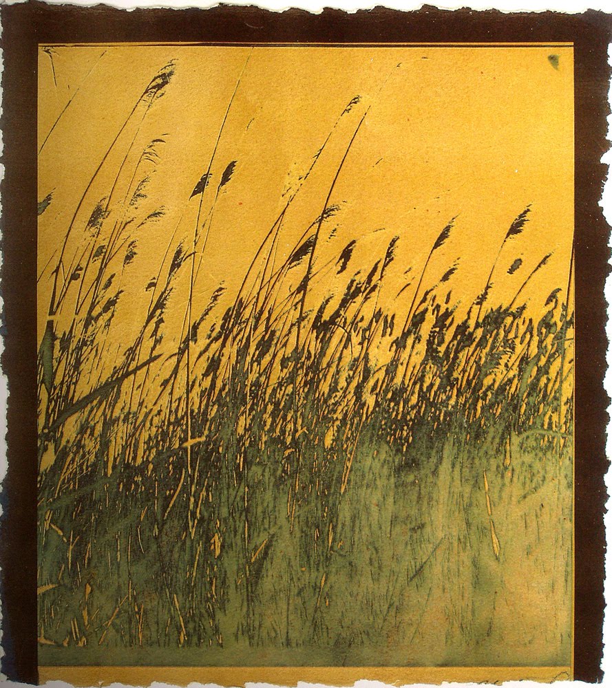 Gum Bichromate Photography