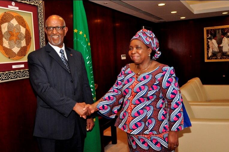 Eritrea Eighth BiWeekly Newsletter Released Madote