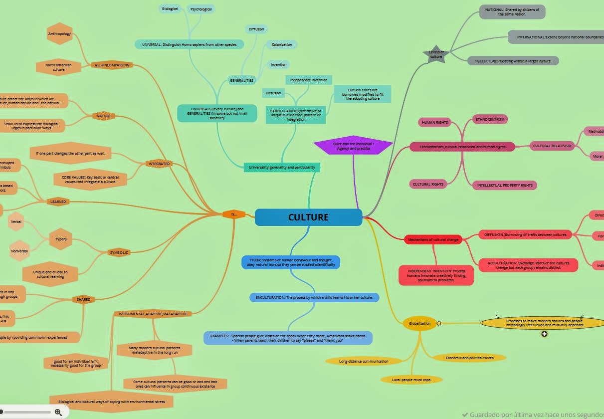 Mind map for essay about south africa s cultural diversity 08 image