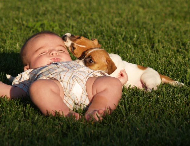 Kids and Pets Seen On www.coolpicturegallery.us