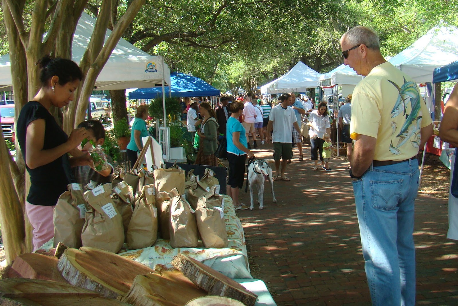 Love to Live in Pensacola, Florida The Palafox Market in downtown
