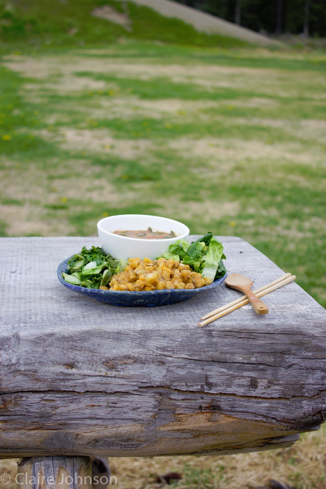 Macrofood Everyday Seitan Stew!