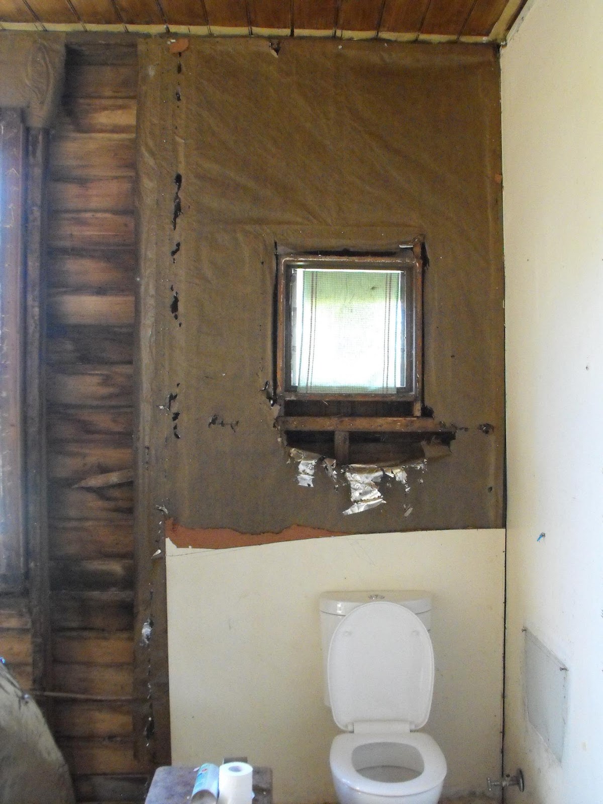 Birch Cottage Toilet window