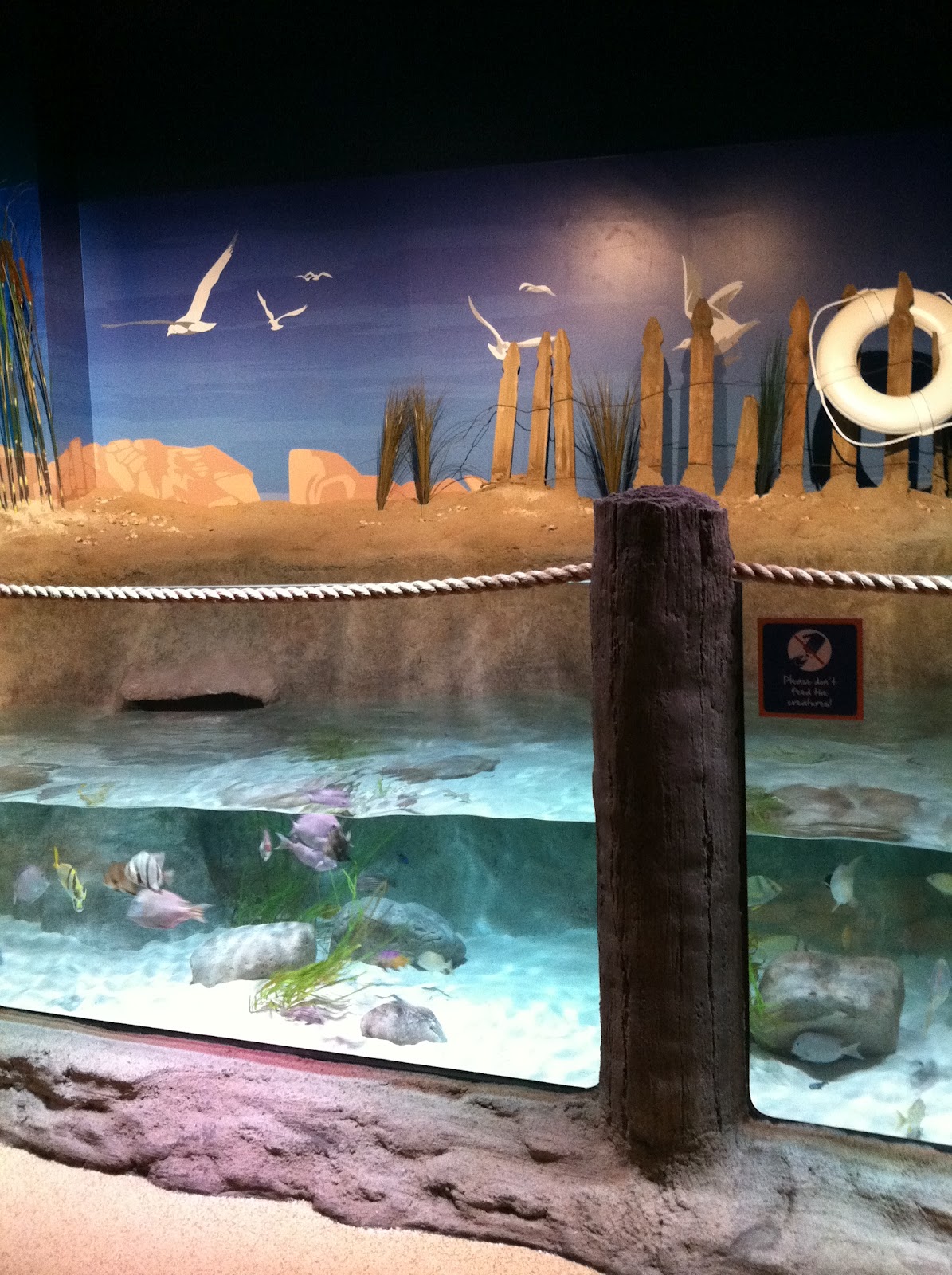 The Jungle Store The Kansas City Sea Life Aquarium