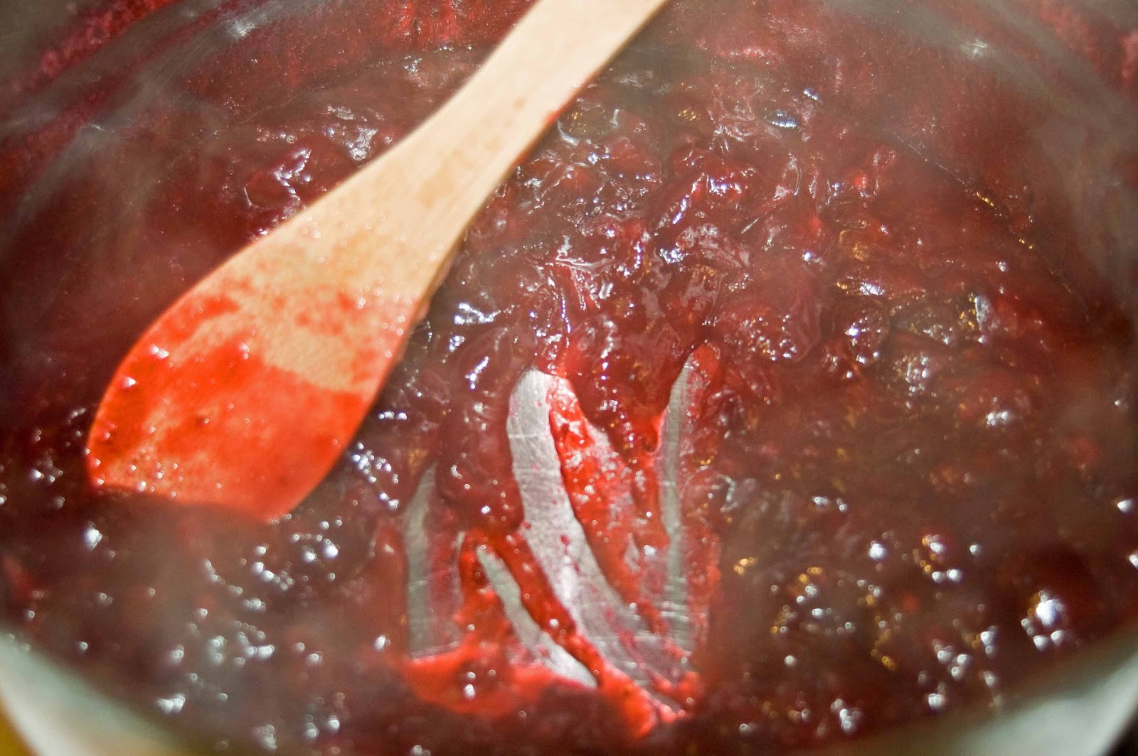 Dehydrating Way Beyond Jerky Homemade Cranberry Sauce