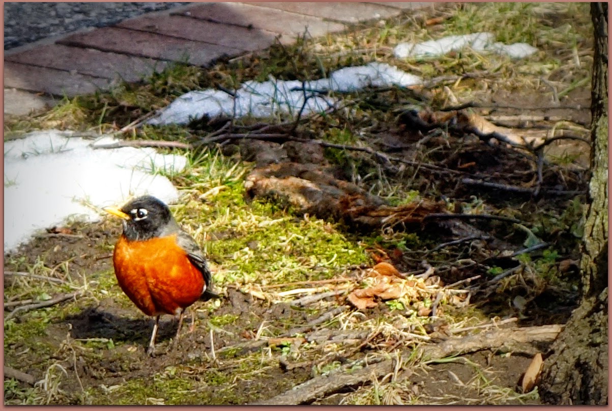 Body Soul and Spirit A Worm of Robins