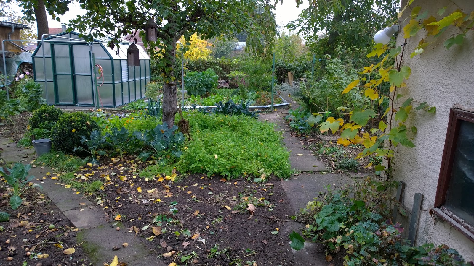 Von Dortmunder Apfeln Und Okologischen Fussabdrucken Fee Ist Mein