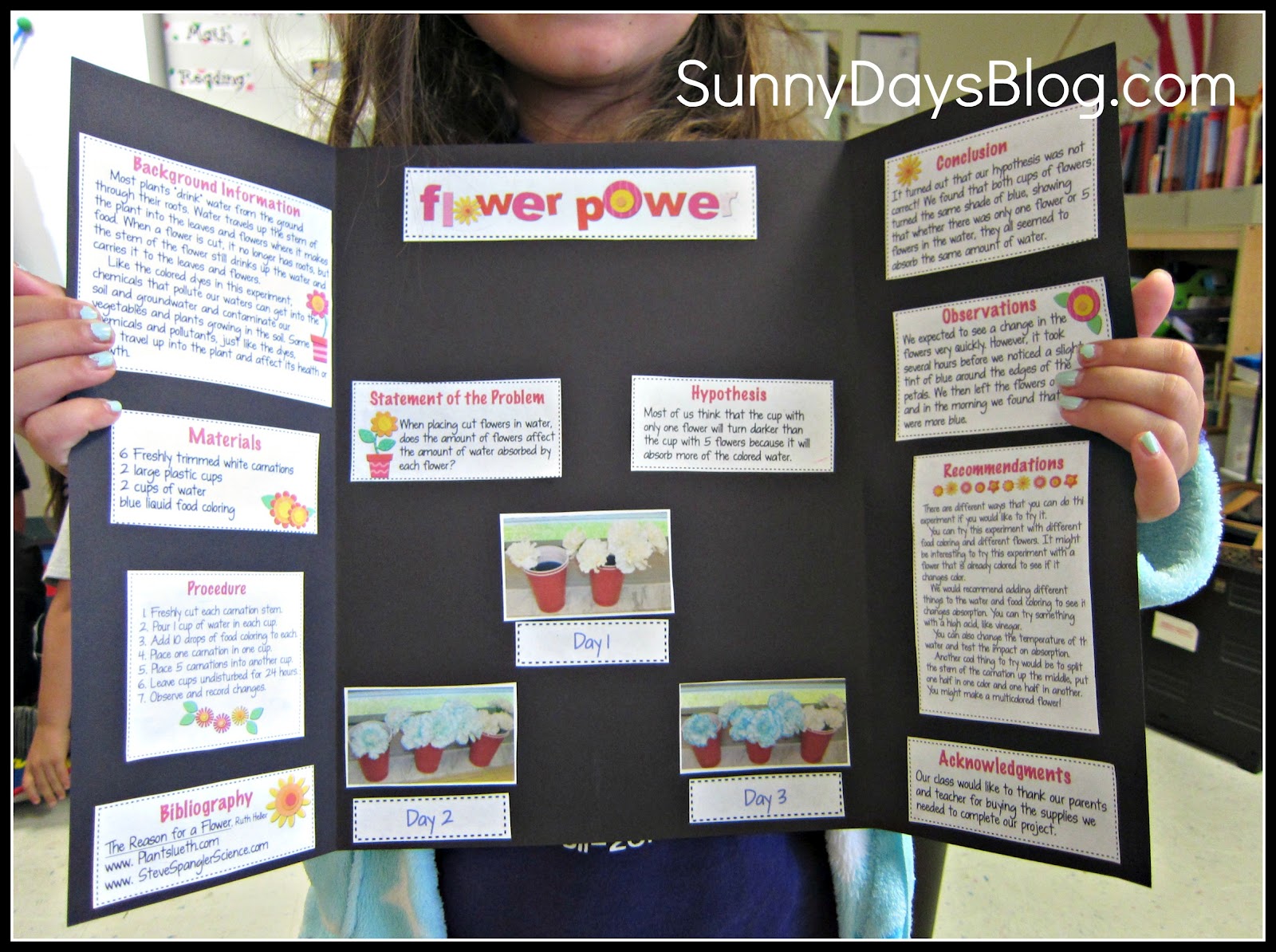 Science Fair Made Easy (and Free!) - Sunny Days in Second Grade