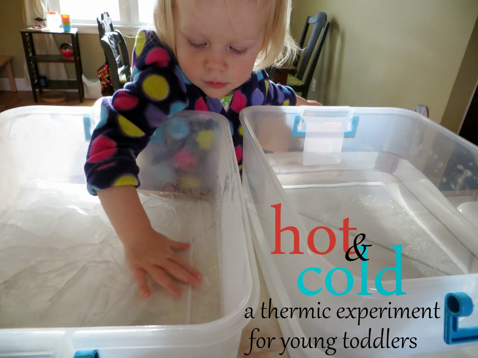 itty bitty love hot and cold a toddler experiment