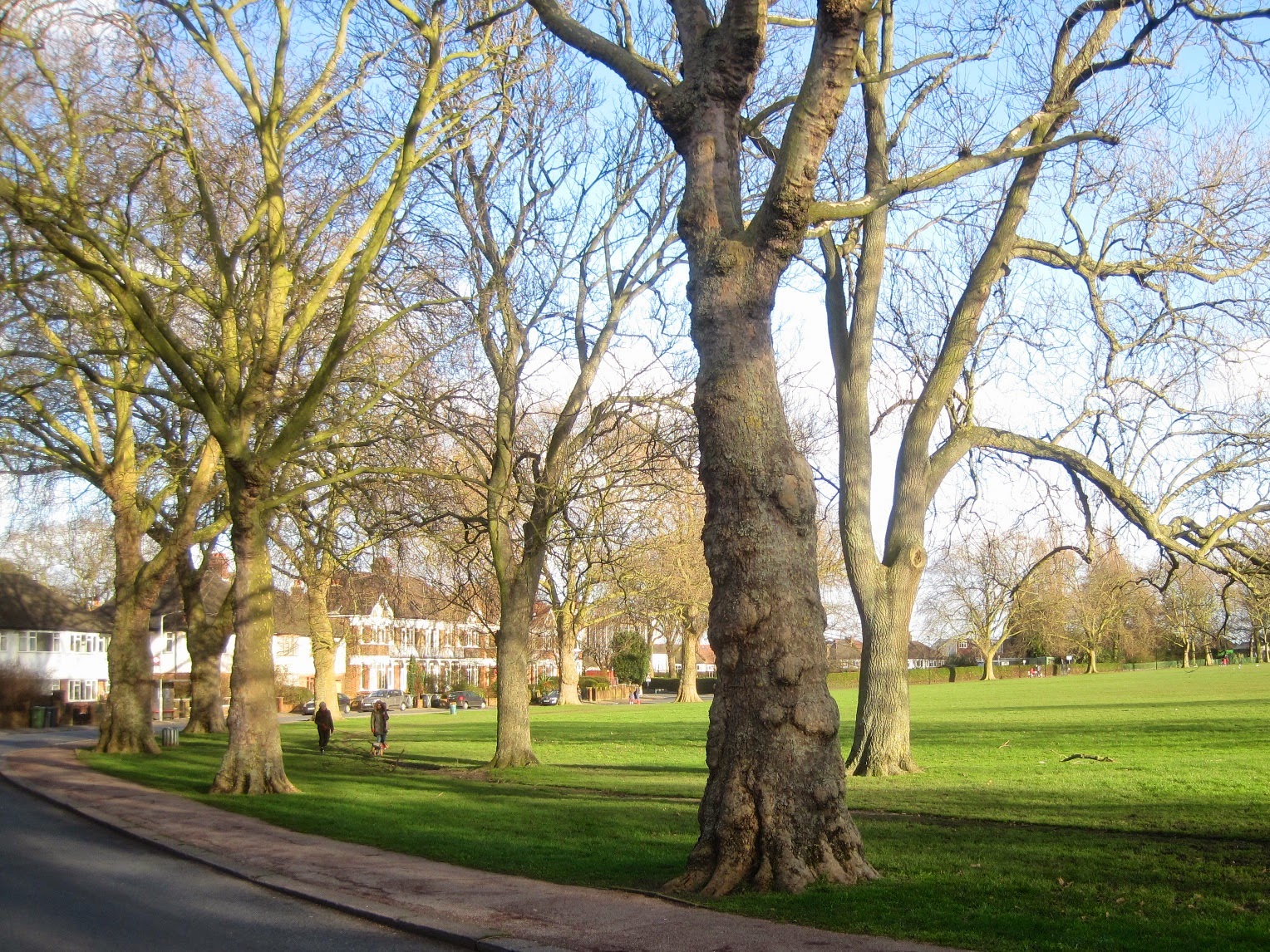 About the mews Breakspears Mews Community Garden