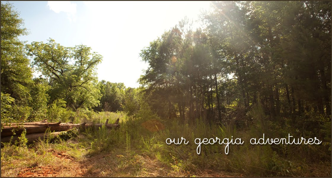 Our Georgia Adventures