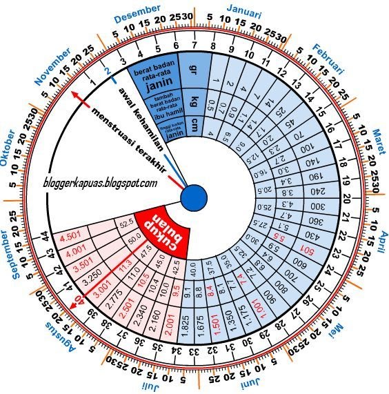Info Perhitungan/ Kalkulator masa Kehamilan