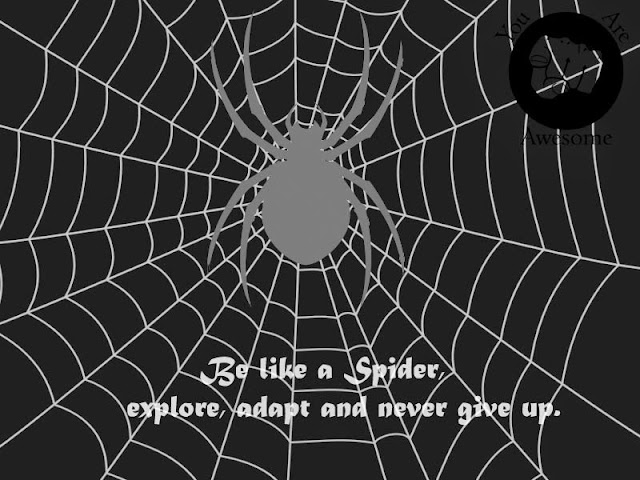 Be like a spider, explore, adapt and never give up.