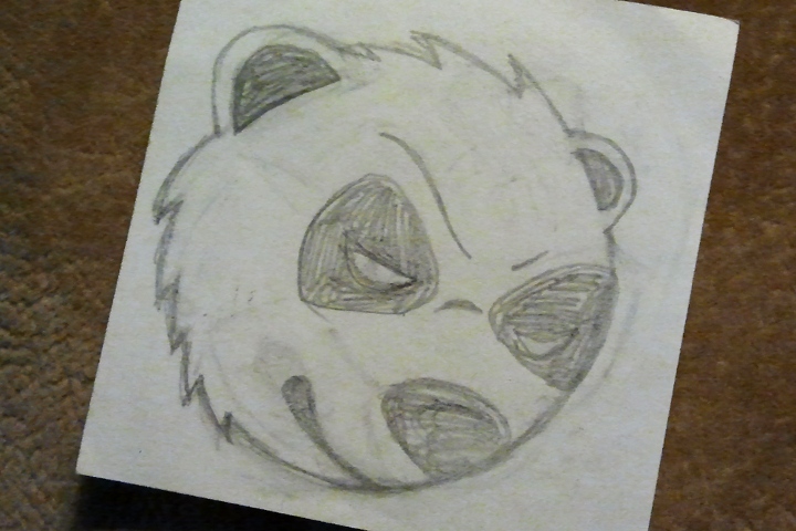 Pandas Sketch