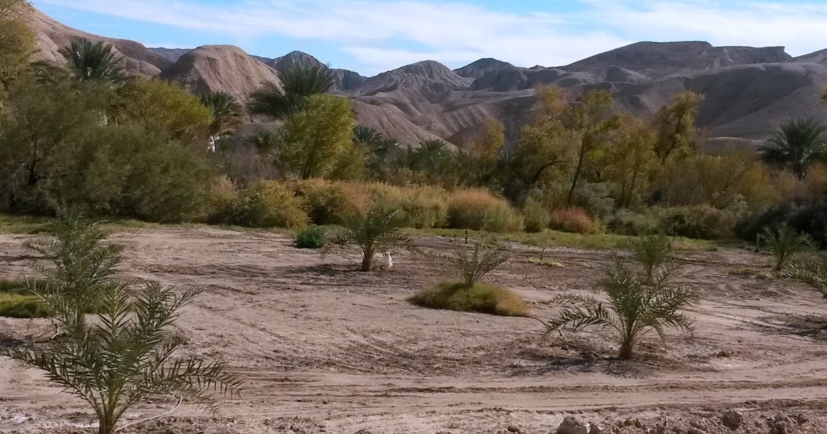 Hiking with Fido Hikes with Dogs on Southern California Hiking Trails