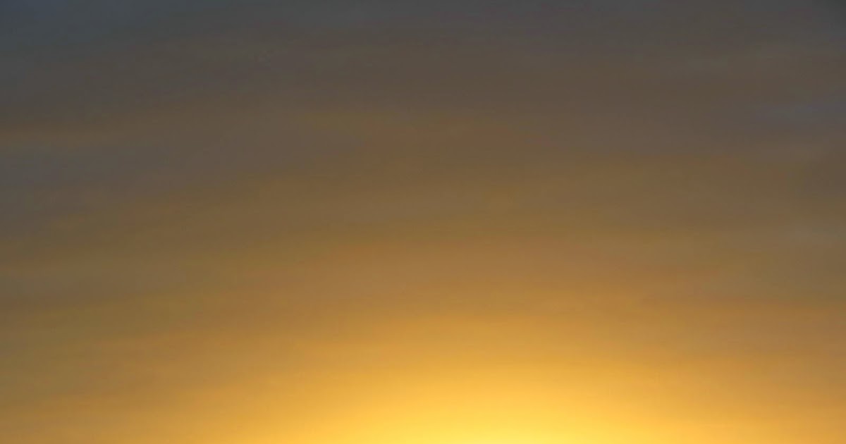 Mortal Treason Sunrise Over A Sea Of Blood Zip