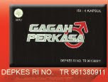 Gagah Perkasa(gasa)