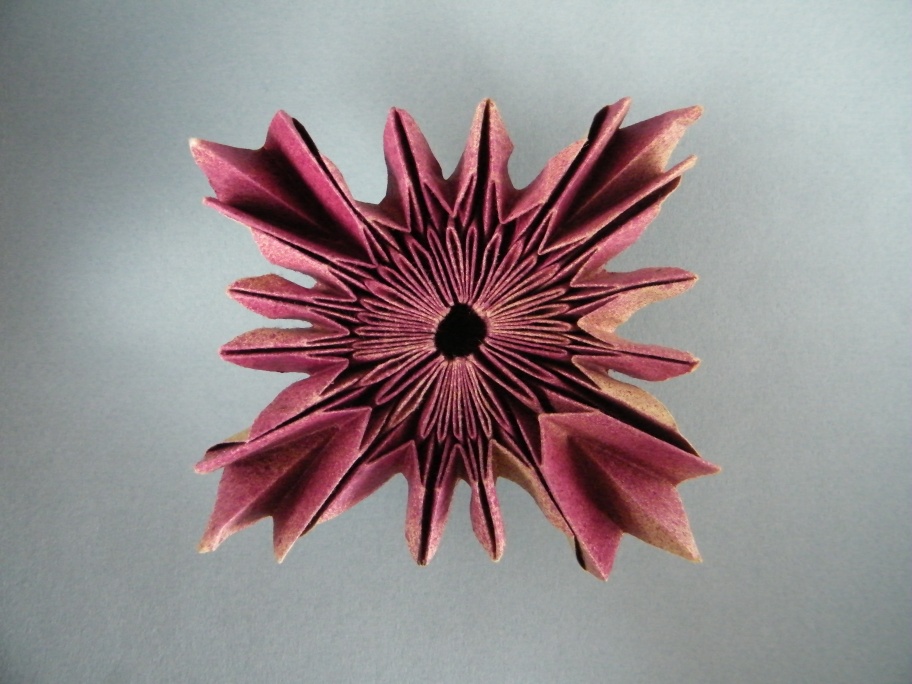 Robin Scholz