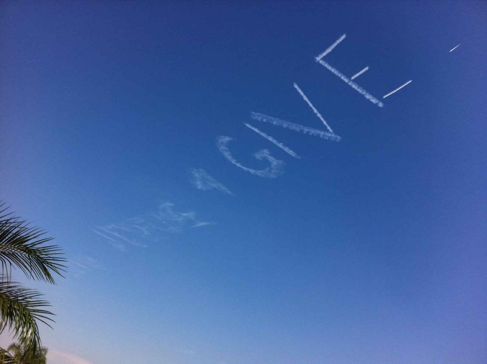 The Desert Chronicles Writing in the Sky